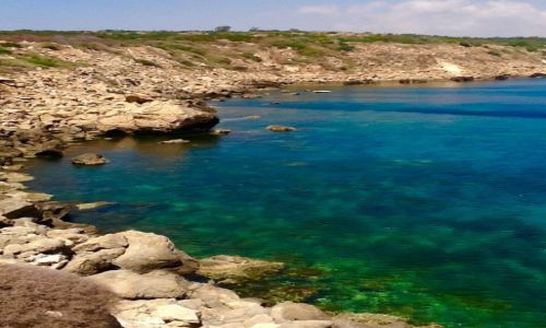 Zdjcie CYPR / Larnaka / Agia Napa / Rajska zatoczka