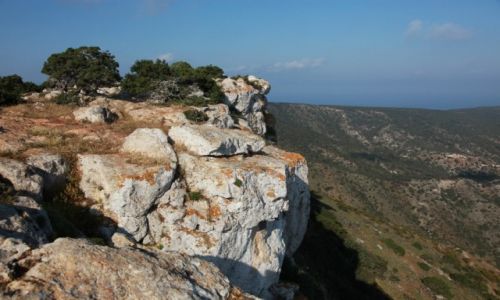 Zdjecie CYPR / Polis Chrysochous / Pwysep Akamas / Skaki