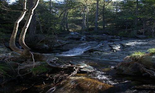 Zdjęcie CYPR / Góry Troodos / Rzeka Kryos Potamos / Do wodospadu