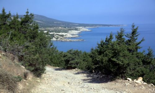 Zdjcie CYPR /  Polis Chrysochous  / Pwysep Akamas / W drog