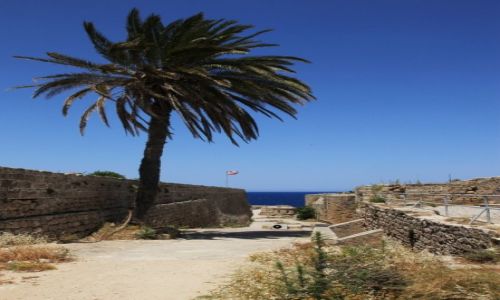 Zdjcie CYPR / Kyrenia  / Zamek / Palma na gruzach