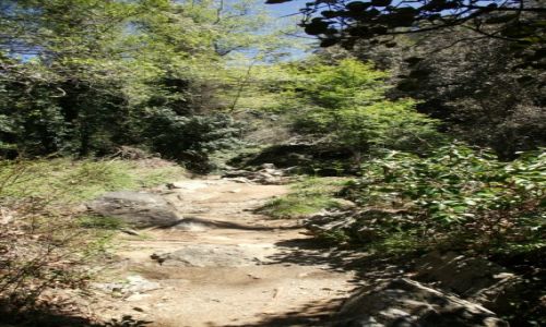 Zdjęcie CYPR / Góry Troodos / Rzeka Kryos Potamos / W drodze do wodospadau