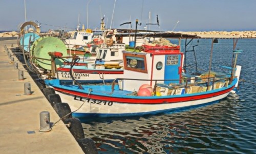 Zdjecie CYPR / - / Larnaka / Port rybacki