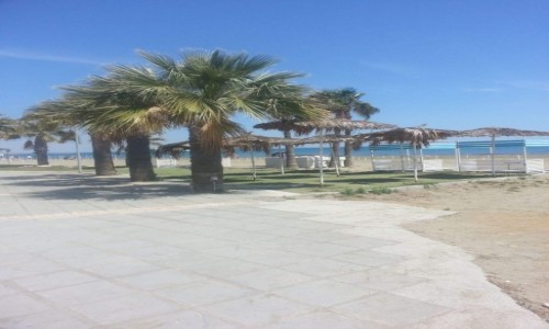 Zdjcie CYPR / Larnaca / Larnaca / Cypr Larnaka