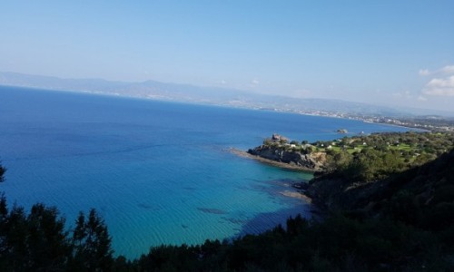Zdjecie CYPR / Pafos / Pafos / bkitnie
