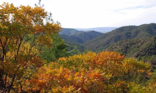 Zdjecie CYPR / Gry Troodos / gdzie po drodze / W grach Troodos