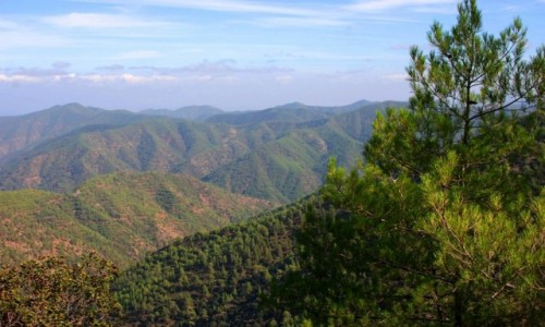Zdjęcie CYPR / góry Troodos / gdzieś po drodze / W górach