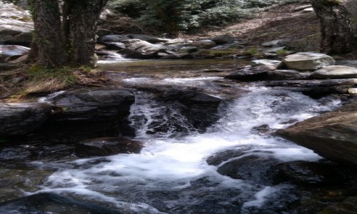 Zdjecie CYPR / Gry Troodos / . / W drodze do wodospadu