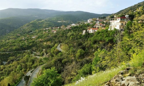 Zdjcie CYPR / Gry Troodos / Pedoulas  / O poranku