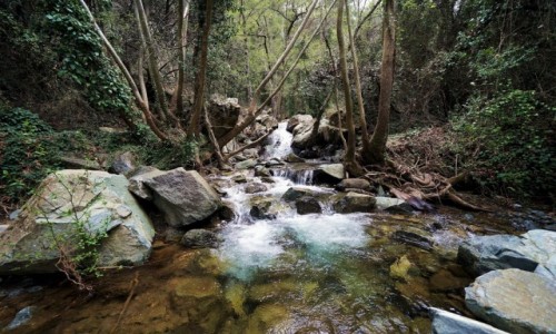 Zdjecie CYPR / Gry Troodos / . / Strumie