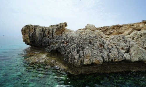 Zdjcie CYPR / Larnaka / Ayia Napa / Nad bkitn lagun