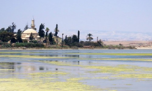 Zdjcie CYPR / - / Larnaca / Hala Sultan Tekke