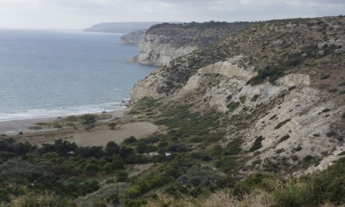 Zdjecie CYPR / - / Pafos / Pafos2