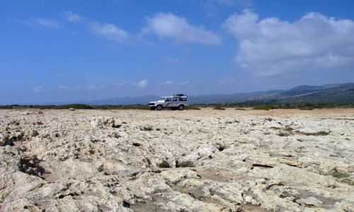 Zdjęcie CYPR / brak / W drodze z Paphos do Fontana Amorosa / Samotny jeep