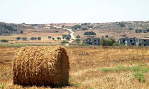 Zdjęcie CYPR PÓŁNOCNY / SafaKoy / strefa buforowa / Bałda