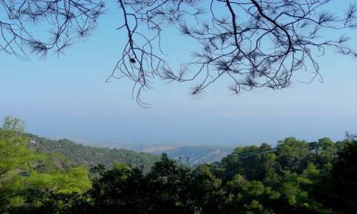 Zdjęcie CYPR PÓŁNOCNY / Kyrenia / Okolice Kyreni / W górach Kyreni