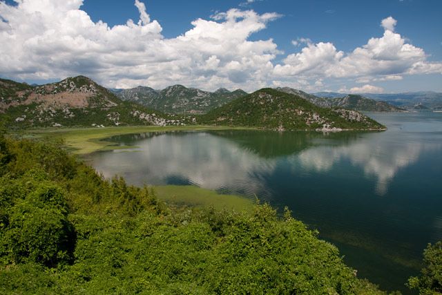 Zdjęcia: SKADARSKO JEZERO, SKADARSKO JEZERO, CZARNOGÓRA Zdjęcia: SKADARSKO JEZERO, SKADARSKO JEZERO, CZARNOGÓRA