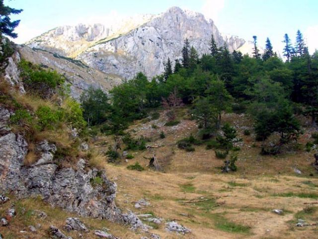 Zdjęcia: Durmitor, Crvena Greda, CZARNOGÓRA Zdjęcia: Durmitor, Crvena Greda, CZARNOGÓRA