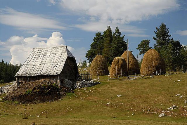 Zdjęcia: okolice Zabljaka, Masyw Durmitor, sielska wieś w górach, CZARNOGÓRA Zdjęcia: okolice Zabljaka, Masyw Durmitor, sielska wieś w górach, CZARNOGÓRA