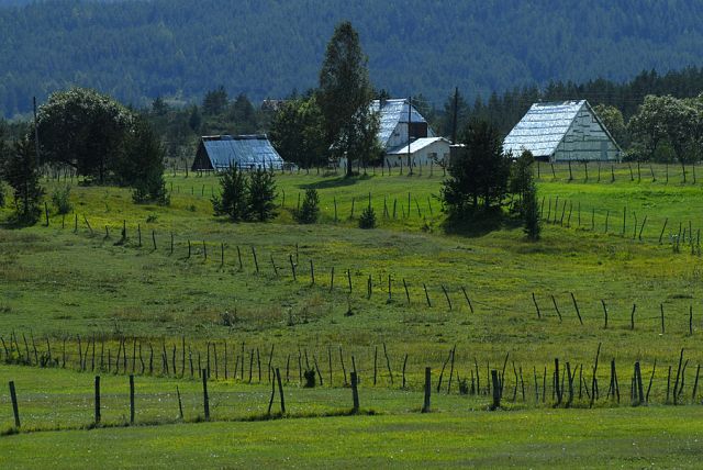 Zdjęcia: okolice Zabljaka, Masyw Durmitor, krajobraz z kreseczkami, CZARNOGÓRA Zdjęcia: okolice Zabljaka, Masyw Durmitor, krajobraz z kreseczkami, CZARNOGÓRA