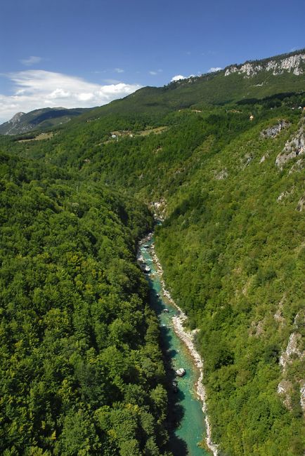 Zdjęcia: kanion Tary, Masyw Durmitor, kanion rzeki Tara, CZARNOGÓRA Zdjęcia: kanion Tary, Masyw Durmitor, kanion rzeki Tara, CZARNOGÓRA