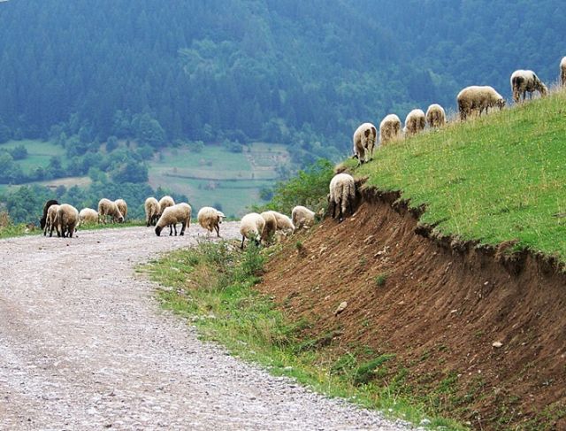 Zdjęcia: Czarnogóra , Czarnogórskie drogi ....., CZARNOGÓRA Zdjęcia: Czarnogóra , Czarnogórskie drogi ....., CZARNOGÓRA
