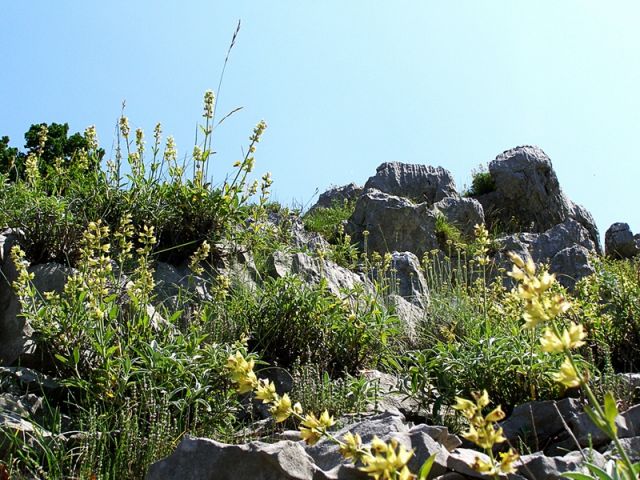 Zdjęcia: Ok.Durmitor, takie tam ...., CZARNOGÓRA Zdjęcia: Ok.Durmitor, takie tam ...., CZARNOGÓRA