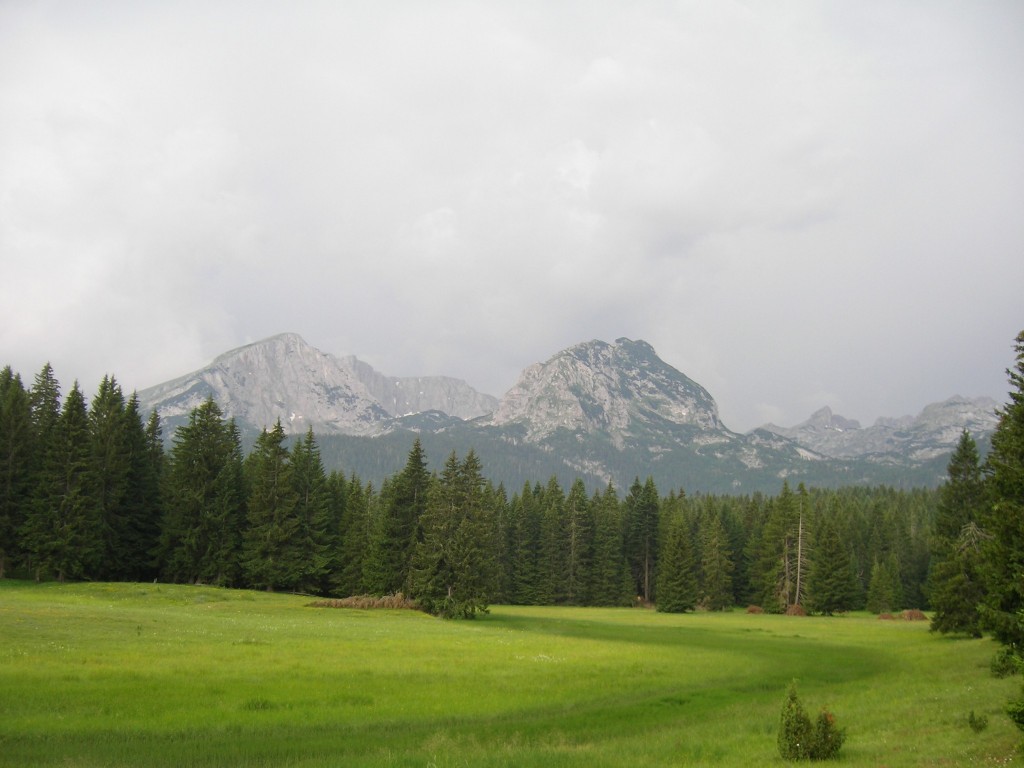 Zdjęcia: Żabljak, Durmitor, Medved, CZARNOGÓRA Zdjęcia: Żabljak, Durmitor, Medved, CZARNOGÓRA