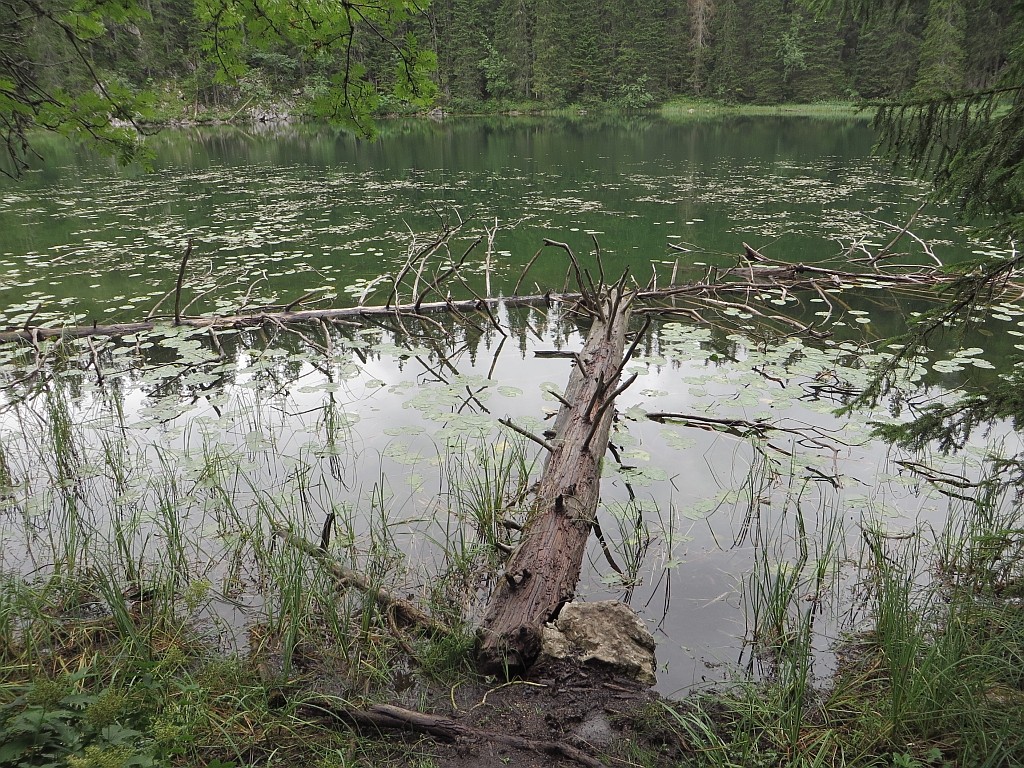 Zdjęcia: okolice Żabljaka, P.N. Durmitor, jezioro Żmijne, CZARNOGÓRA Zdjęcia: okolice Żabljaka, P.N. Durmitor, jezioro Żmijne, CZARNOGÓRA