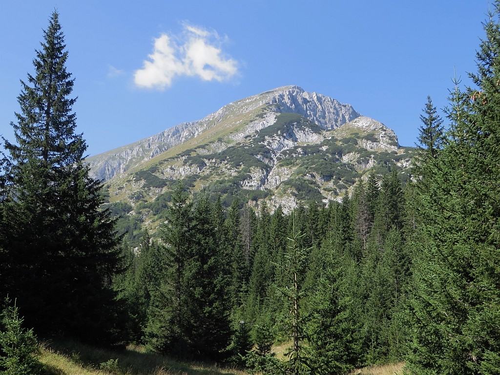 Zdjęcia: okolice Żabljaka, P.N. Durmitor, obrazki z Durmitoru, CZARNOGÓRA Zdjęcia: okolice Żabljaka, P.N. Durmitor, obrazki z Durmitoru, CZARNOGÓRA