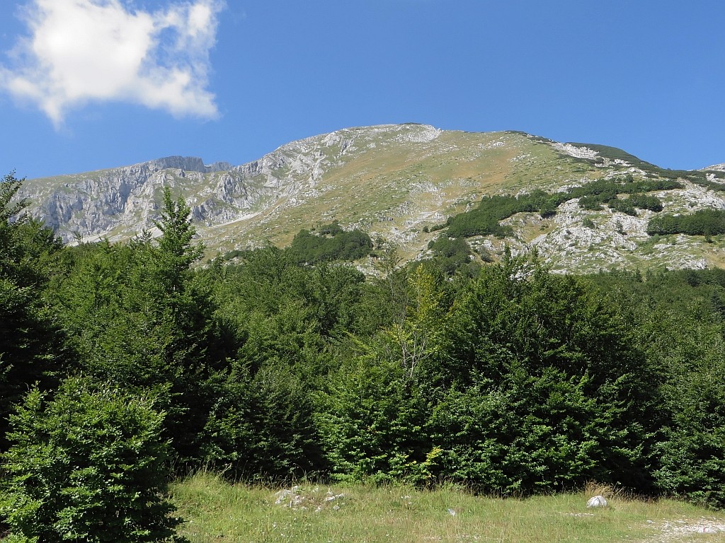 Zdjęcia: okolice Żabljaka, P.N. Durmitor, obrazki z Durmitoru, CZARNOGÓRA Zdjęcia: okolice Żabljaka, P.N. Durmitor, obrazki z Durmitoru, CZARNOGÓRA