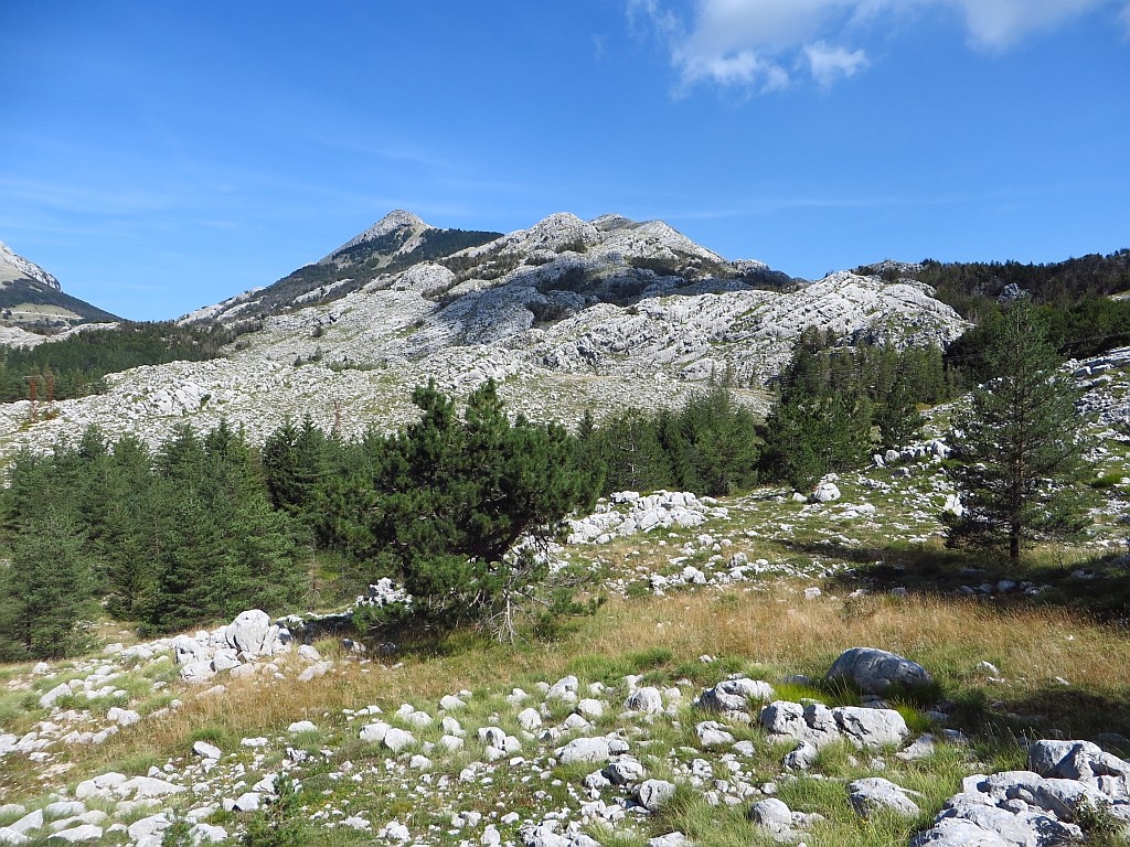 Zdjęcia: P.N. Lovcen, północna Czarnogóra, Park Narodowy Lovcen, CZARNOGÓRA Zdjęcia: P.N. Lovcen, północna Czarnogóra, Park Narodowy Lovcen, CZARNOGÓRA