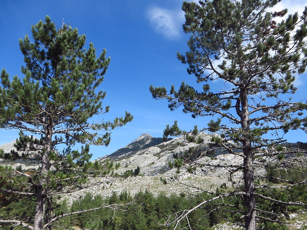 Zdjęcia: P.N. Lovcen, północna Czarnogóra, Park Narodowy Lovcen, CZARNOGÓRA Zdjęcia: P.N. Lovcen, północna Czarnogóra, Park Narodowy Lovcen, CZARNOGÓRA