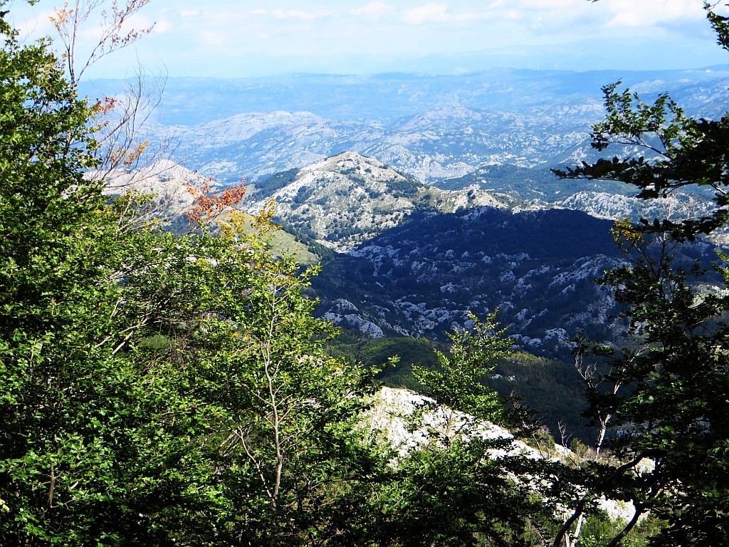 Zdjęcia: P.N. Lovcen, północna Czarnogóra, Park Narodowy Lovcen, CZARNOGÓRA Zdjęcia: P.N. Lovcen, północna Czarnogóra, Park Narodowy Lovcen, CZARNOGÓRA