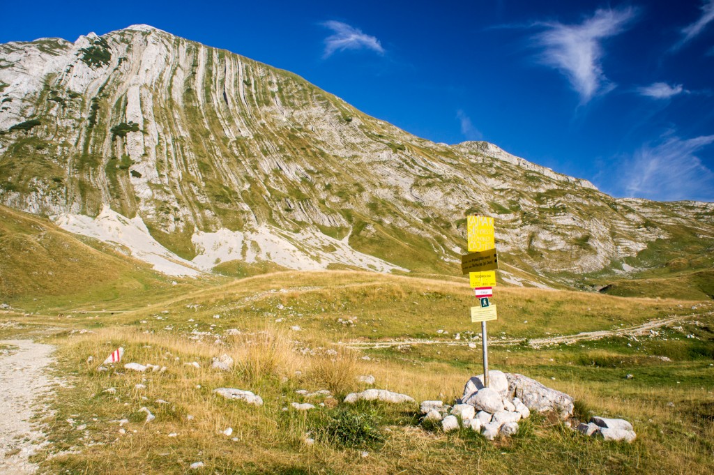 Zdjęcia: Durmitor, Durmitor, Durmitor, CZARNOGÓRA Zdjęcia: Durmitor, Durmitor, Durmitor, CZARNOGÓRA