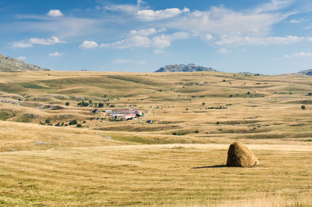 Zdjęcia: Durmitor, Durmitor, Durmitor, CZARNOGÓRA Zdjęcia: Durmitor, Durmitor, Durmitor, CZARNOGÓRA