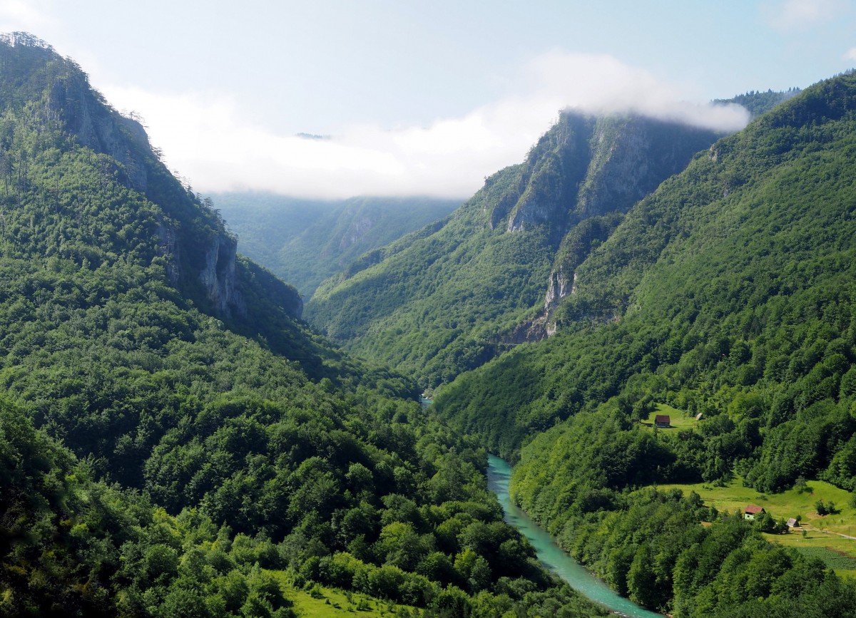 Zdjęcia: Kanion Tary, Durmitor, a dołem Tara płynie..., CZARNOGÓRA Zdjęcia: Kanion Tary, Durmitor, a dołem Tara płynie..., CZARNOGÓRA
