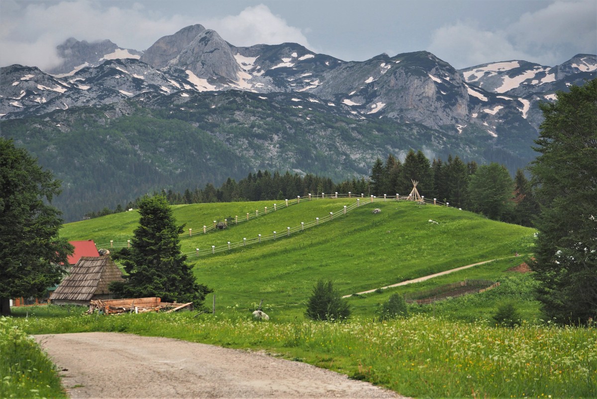 Zdjęcia: okolice miasteczka Zabljak, Durmitor, co kto lubi..., CZARNOGÓRA Zdjęcia: okolice miasteczka Zabljak, Durmitor, co kto lubi..., CZARNOGÓRA