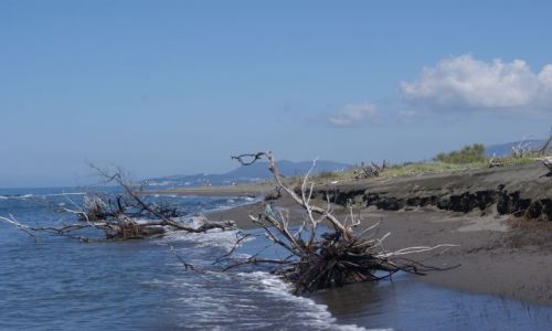 Zdjcie CZARNOGRA / Ulcinij / Ada Bojana / Plaa