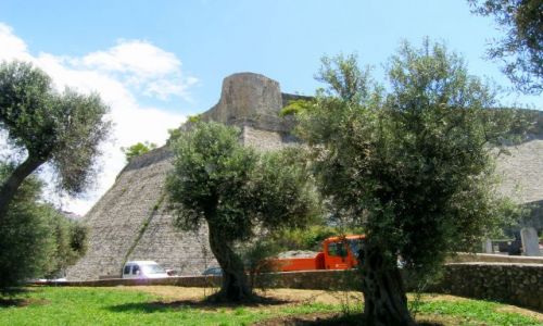 Zdjęcie CZARNOGÓRA / - / Ulcinj / Gaj oliwny