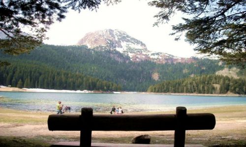 Zdjecie CZARNOGRA / Park Narodowy Durmitor / Jezioro Szkoderskie / Mojowa Czarnogra
