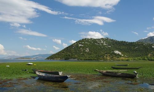 Zdjecie CZARNOGRA / - / jezioro Shkoder / nad jeziorem Shkoder