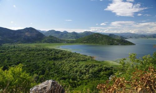 Zdjecie CZARNOGRA / - / jezioro Shkoder / nad jeziorem Shkoder