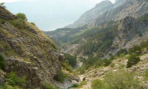 Zdjecie CZARNOGRA / brak / okolice Kotoru / Montenegro