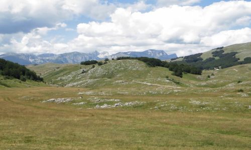 Zdjcie CZARNOGRA / pnocna Czarnogra / P.N. Durmitor / panorama Durmitoru