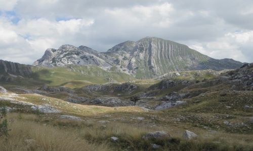 Zdjcie CZARNOGRA / pnocna Czarnogra / P.N. Durmitor / obrazki z Durmitoru
