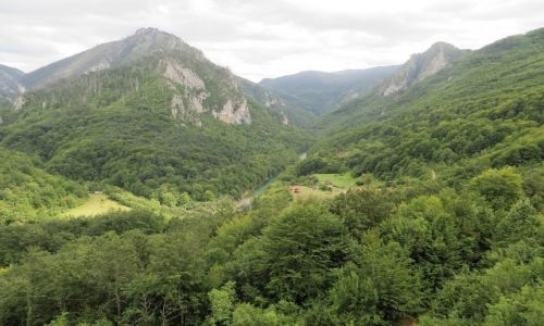 Zdjcie CZARNOGRA / pnocna Czarnogra / P.N. Durmitor / przeom Tary