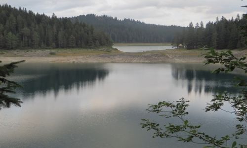 Zdjecie CZARNOGRA / P.N. Durmitor / okolice abljaka / jezioro Czarne