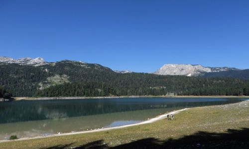 Zdjcie CZARNOGRA / P.N. Durmitor / okolice abljaka / jezioro Czarne