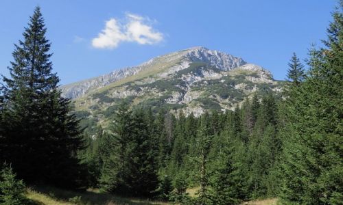 Zdjcie CZARNOGRA / P.N. Durmitor / okolice abljaka / obrazki z Durmitoru